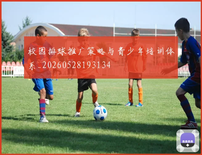 校园排球推广策略与青少年培训体系_20260528193134
